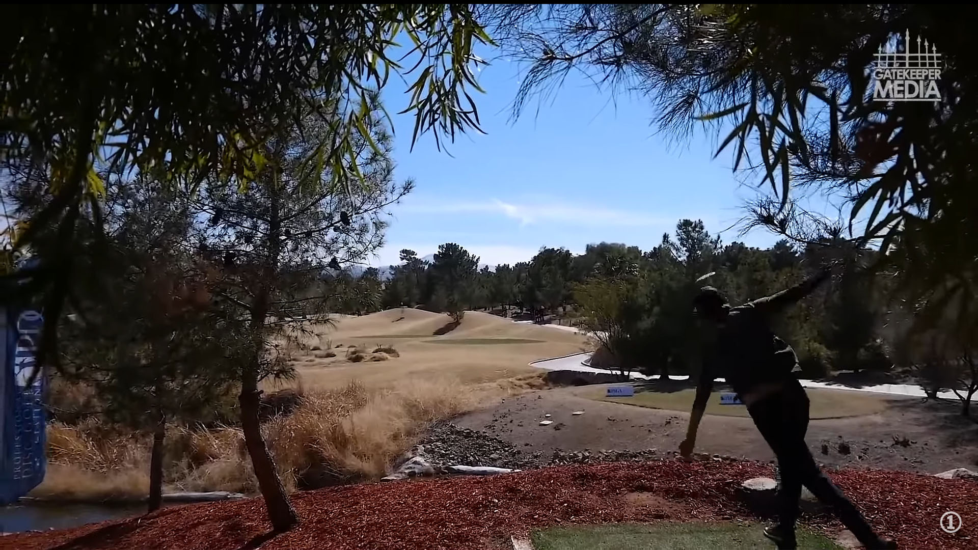 Eagle McMahon Disc Golf 1108 Rated Round